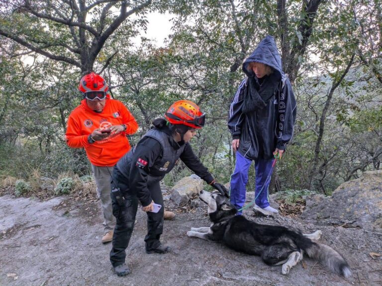 Protección Civil de Nuevo León acude al rescate de Husky reportado como abandonado en el Cerro de la Silla