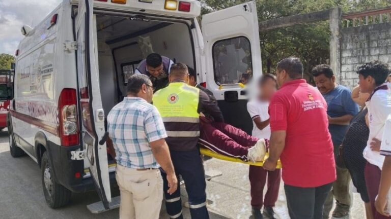 Ataque de abejas en secundaria de Juchitán deja 15 personas afectadas