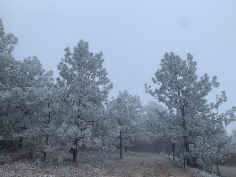 La Sierra de Santiago se viste de blanco: Postales de Mesa del Oso