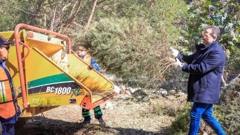 Monterrey impulsa reciclaje de pinos navideños con 46 centros de acopio