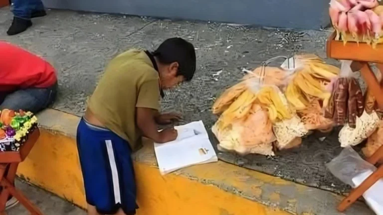 Aumenta el trabajo infantil en México, especialmente en zonas rurales