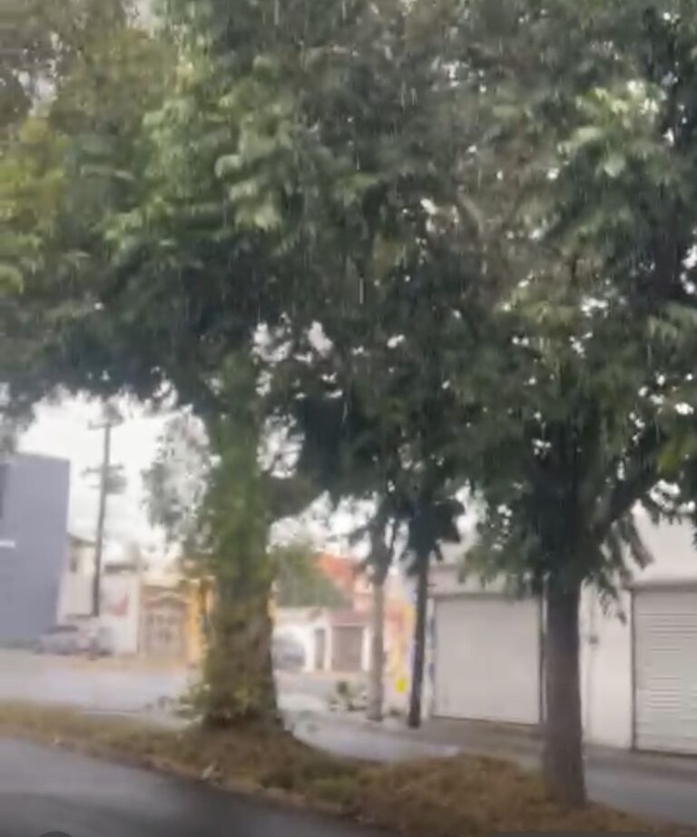 Aguanieve sorprende a vecinos de la Colonia Cedros en Monterrey