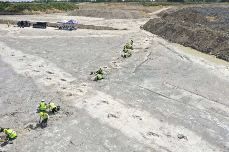 Científicos descubren huellas prehistóricas en Reino Unido