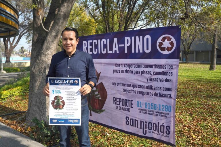 San Nicolás recolecta más de 100 pinos en los primeros días del programa “Recicla-Pino”
