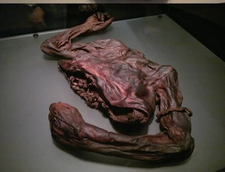 Descubren torso humano de 2.400 años en pantano irlandés
