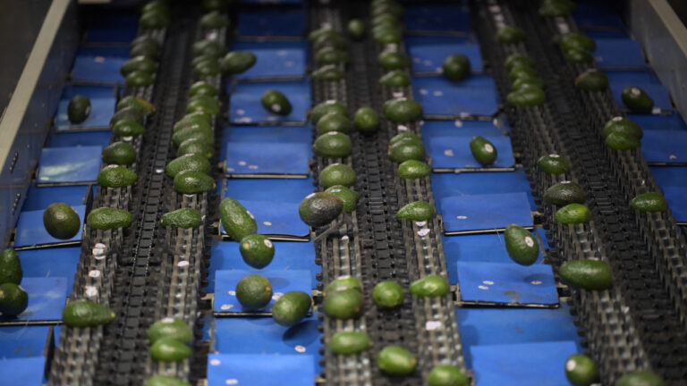 El aguacate mexicano sortea amenazas arancelarias y brilla en el Super Bowl