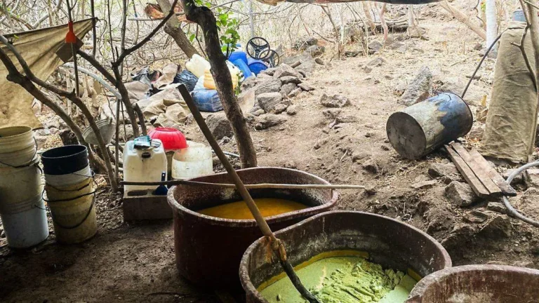 Desmantelan 2 narcolaboratorios en Sinaloa, sumando 20 en lo que va del año