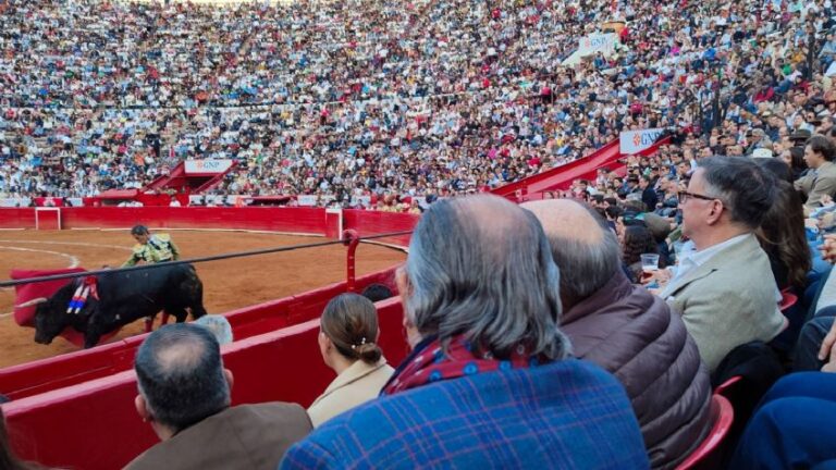 Aprobado en CDMX el proyecto para realizar corridas de toros sin violencia