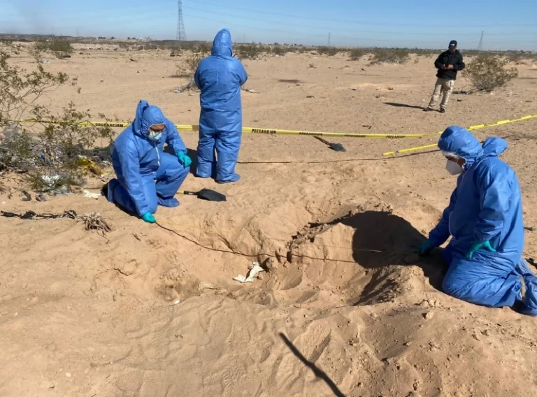 Jalisco: Encuentran Nuevas Fosas Clandestinas y Restos Humanos en Tlajomulco y Zapopan