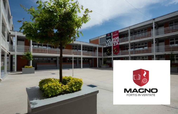 Tragedia en Salamanca: Niña de 11 años muere al caerle una portería en su escuela