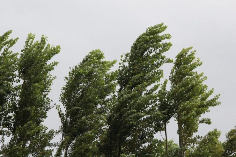 Vientos fuertes seguirán azotando Nuevo León; se mantiene alerta por incendios y temperaturas calurosas
