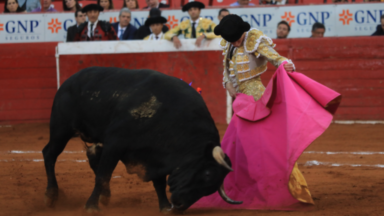 Congreso de la CDMX aprueba las corridas de toros sin violencia: ¿Cuándo entra en vigor la nueva legislación?