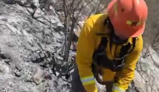 Incendio en el Cerro del Topo Chico moviliza a Protección Civil Monterrey