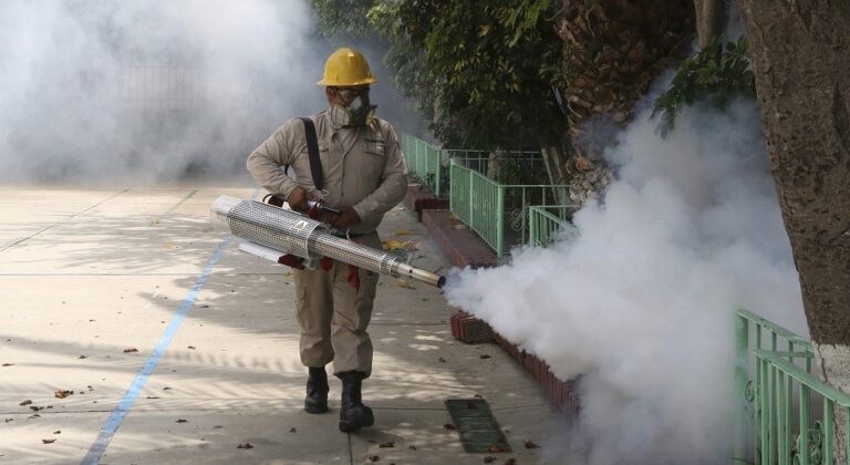 Aumentan casos de dengue en México: suman más de 2,200 contagios