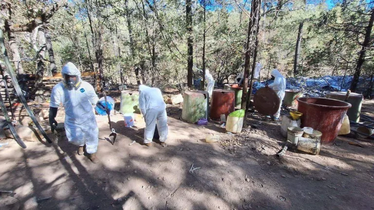 Aseguran en Zacatecas un narcolaboratorio de ‘Los Chapitos’ con capacidad para miles de kilos de droga