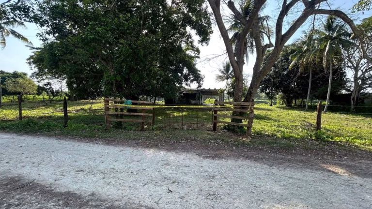 Fosas clandestinas halladas en Macuspana, Tabasco; restos humanos encontrados semienterrados