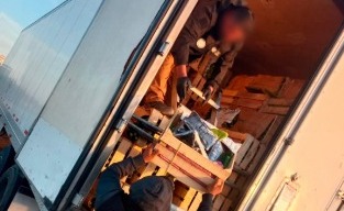 Detienen en Sonora a trailero con fentanilo oculto en nopales