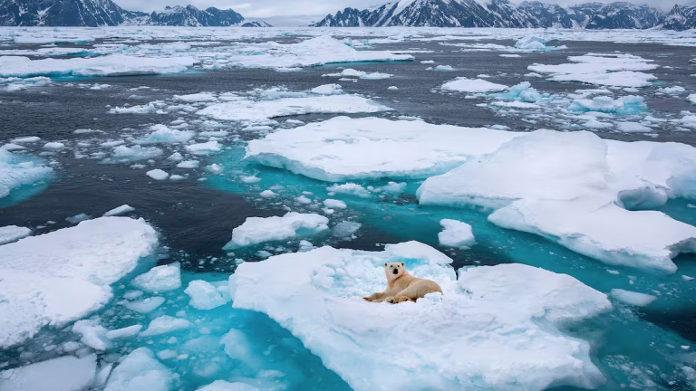 El Ártico rompe récord: reducción de hielo alcanza mínimo histórico en 47 años