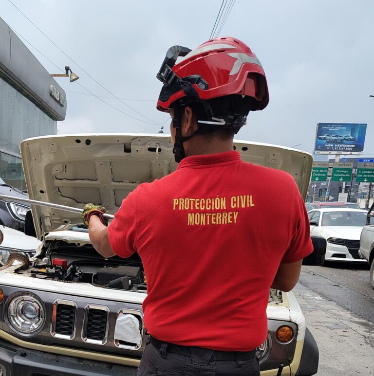 Capturan serpiente dentro de vehículo en Monterrey