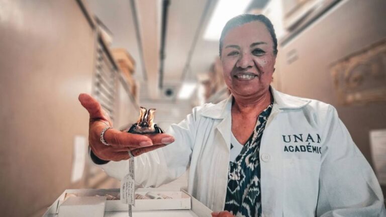 Nombran murciélago en honor a científica mexicana