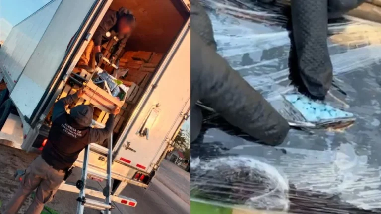 Detienen en Sonora a trailero con 32 kilos de fentanilo ocultos en nopales