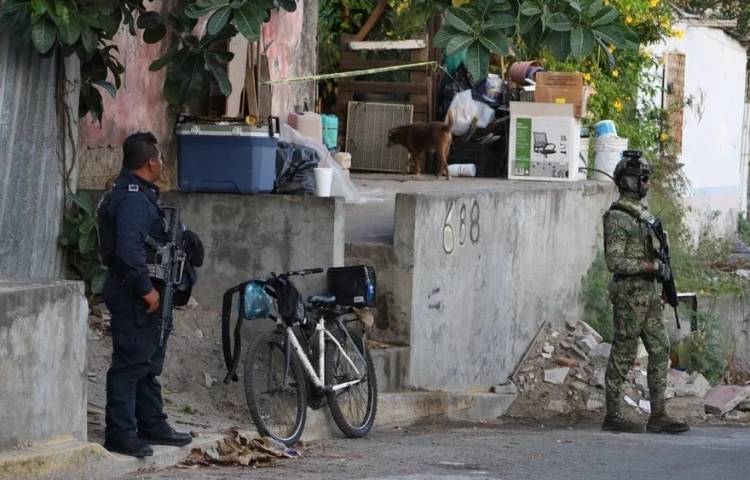 Muere mujer de la tercera edad tras ser atacada por su propio perro en Veracruz