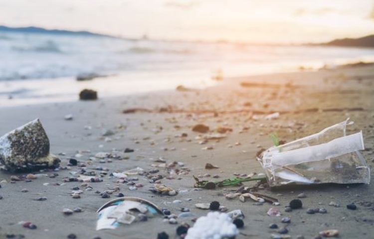 Lanzan alerta por las seis playas más contaminadas de México, según la Cofepris