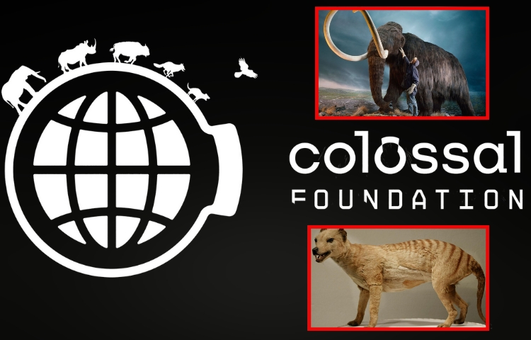 Colossal busca revivir al mamut y al tigre de Tasmania con edición genética