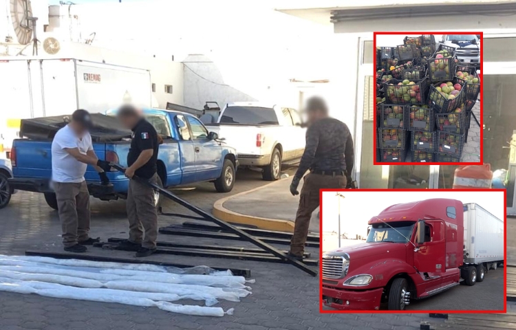 Cae tráiler con 340 kilos de droga escondidos en cajas de mango