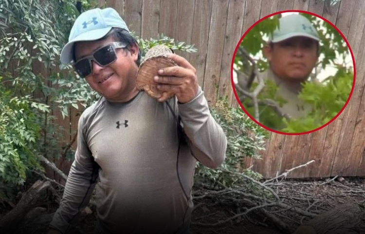 Migrante desafía arresto de ICE y se sube a un árbol por más de ocho horas en Texas