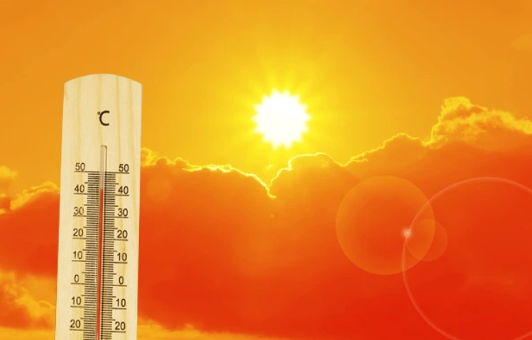 Alerta en Nuevo León por primera onda de calor de 2025: se esperan hasta 44°C