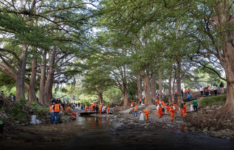 Voluntarios limpian el Río La Silla y reforestan la zona en Guadalupe
