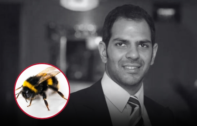 Empresario muere tras sufrir reacción alérgica por tragar una abeja durante partido de polo