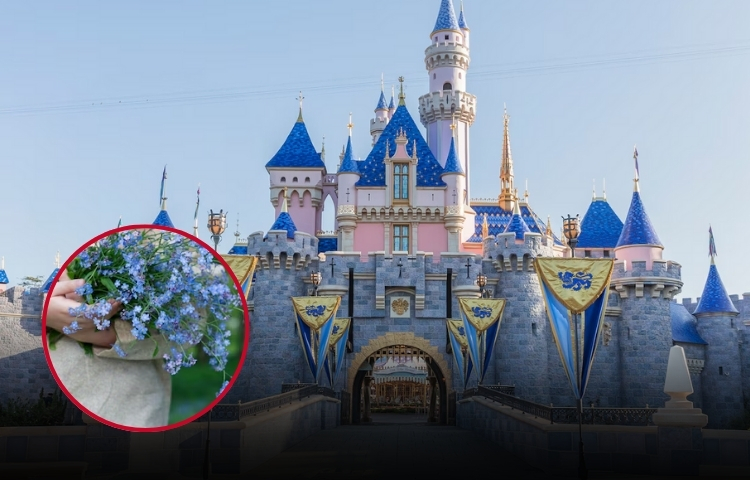 Simulan boda infantil en Disneyland París y desatan operativo policial