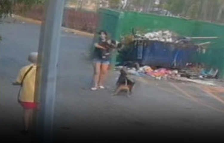 Perros sueltos atacan a mujer en Monterrey; vecinos denuncian negligencia de la dueña