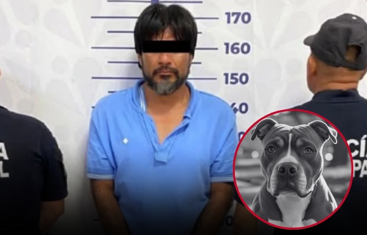 Detienen a hombre por matar a perrita que lo enfrentó para proteger a su dueña