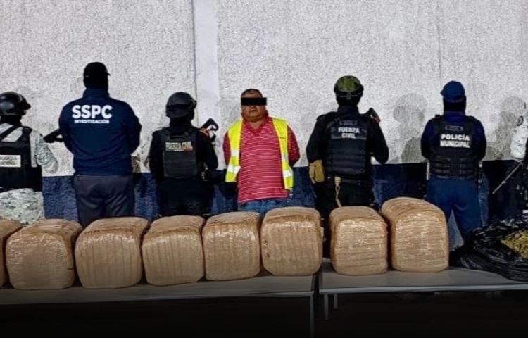 Operativo de Fuerza Civil asegura más de 130 kilos de marihuana y captura a sospechoso