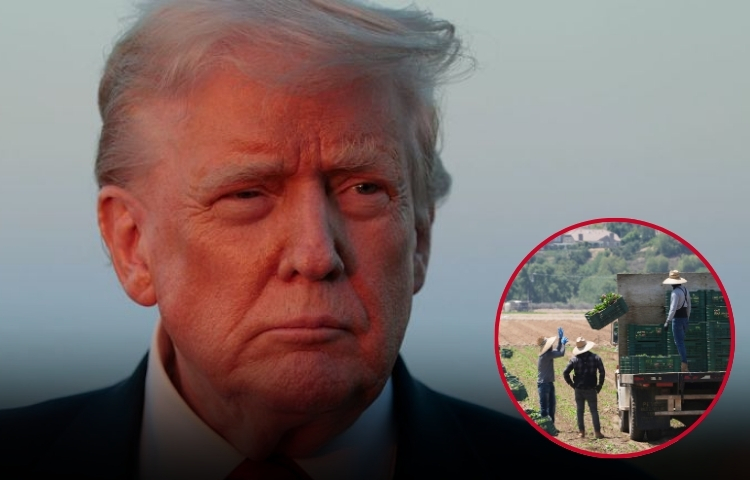 Donald Trump reconoce la importancia de migrantes expulsados en el sector agrícola