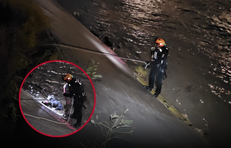 Perrito es rescatado de arroyo El Obispo en San Pedro tras fuertes lluvias