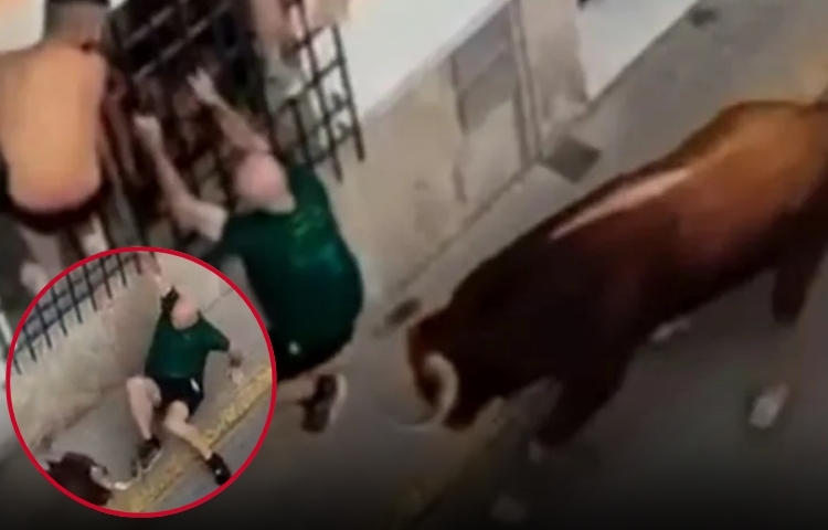 Fiesta taurina en Ubrique termina en tragedia: un hombre pierde la vida
