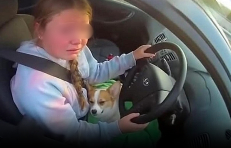 Policía ayuda a niña de 12 años que condujo sola para salvar a su perrito