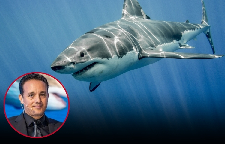 Biólogo mexicano es atacado por tiburón mientras buceaba en isla de Costa Rica