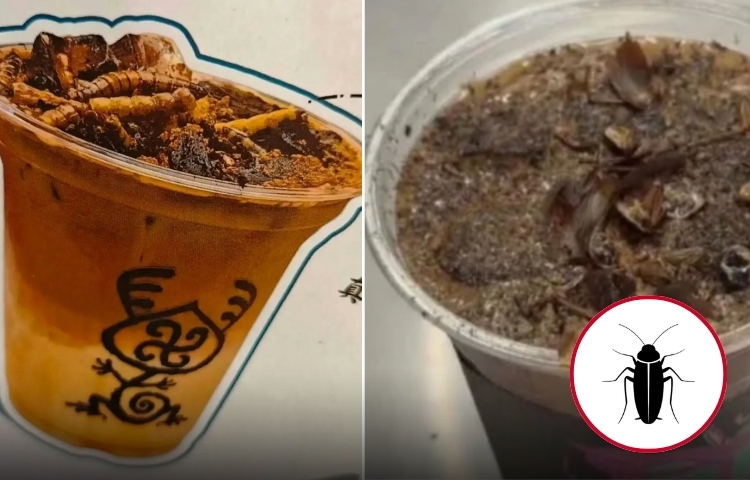 China sorprende con café hecho con insectos en museo de entomología