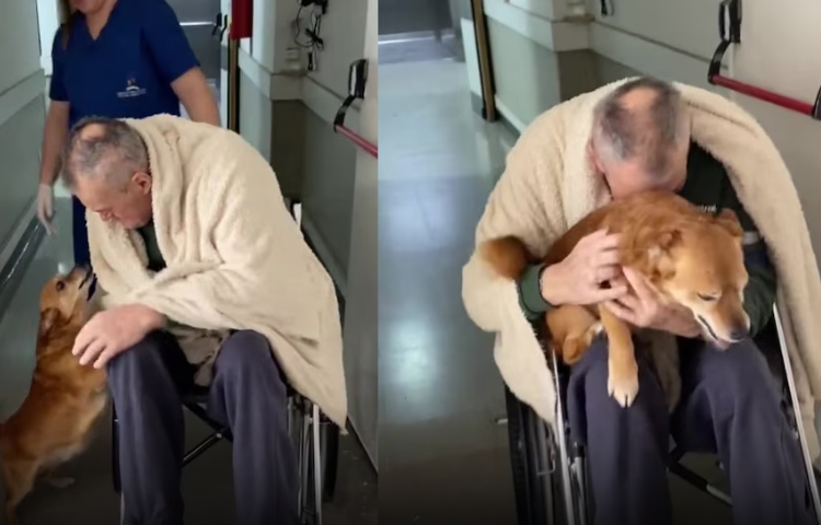Hombre y su perro se reencuentran tras 82 días separados