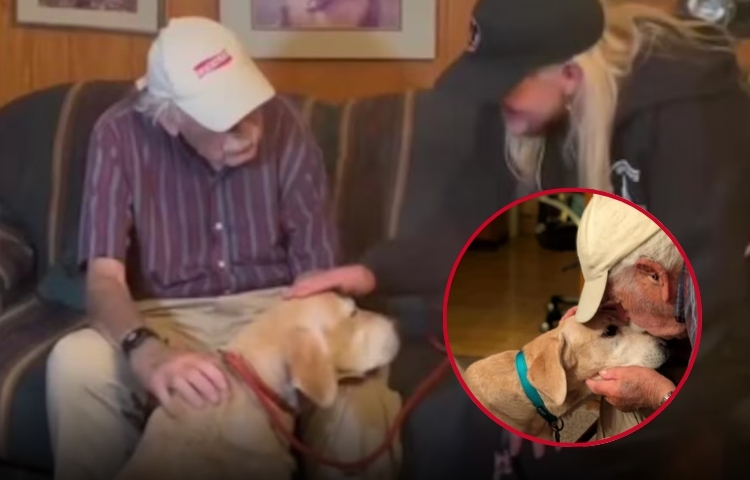 Un rastro de calcetines une a una perrita perdida con su dueño de 93 años