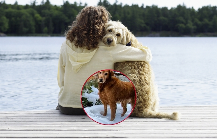 Una mujer demanda al fisco de Estados Unidos para que su perro sea reconocido como ‘hijo’