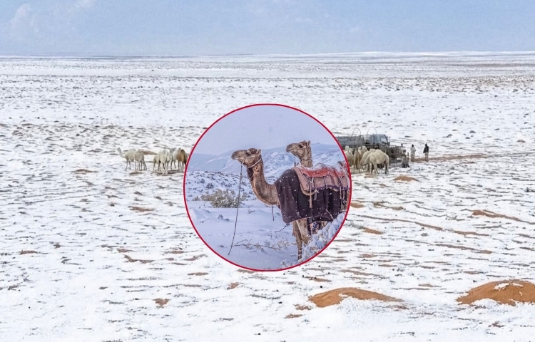 Tormenta invernal cubre de nieve regiones desérticas de Arabia Saudita