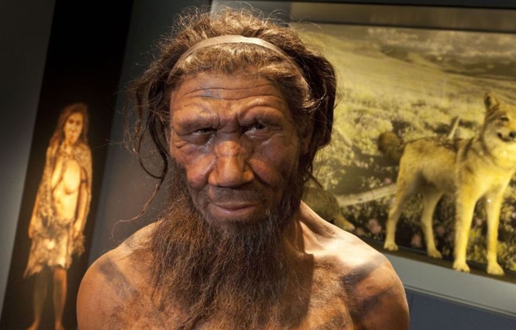 ¿Desaparecieron? Nuevo estudio asegura que los neandertales viven entre nosotros
