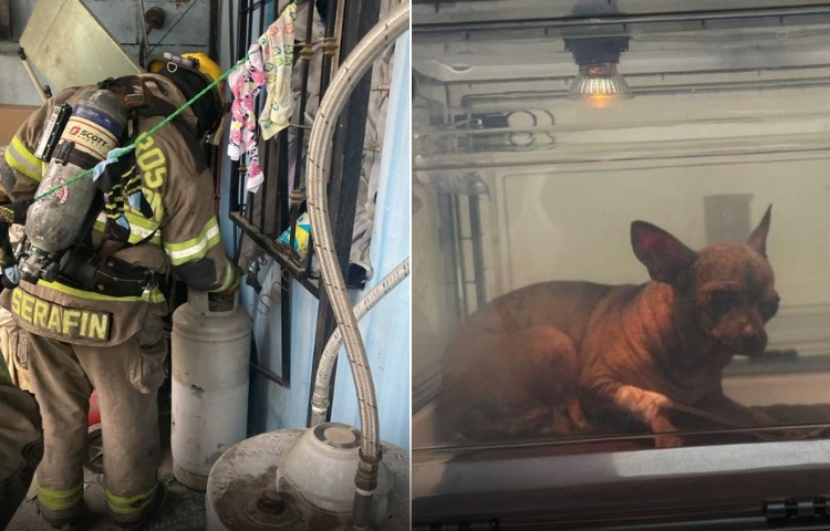 Explosión de tanque de gas en Escobedo deja cinco personas y una mascota heridas