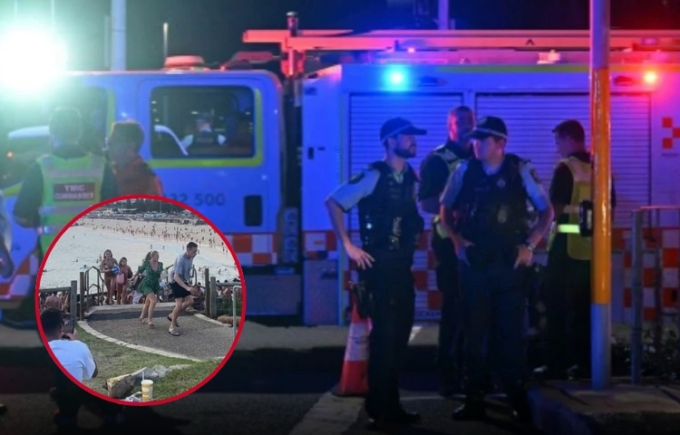 Tragedia en playa de Sídney: tiroteo deja 16 fallecidos y 40 heridos